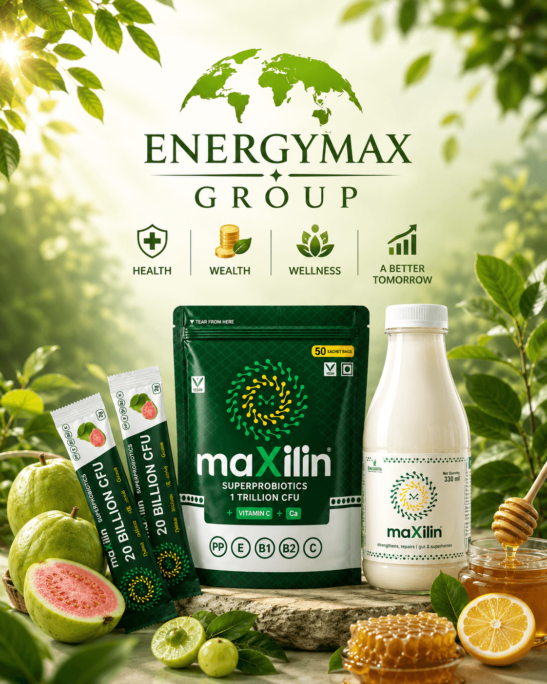 EnergyMax Group Product Overview